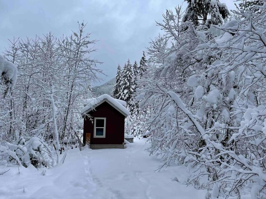Cozy Tiny Home Steps Away From Mt. Rainier Ашфорд Екстериор снимка