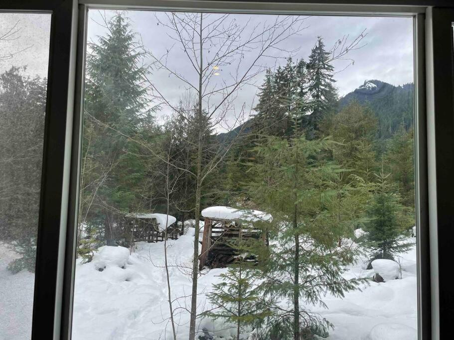 Cozy Tiny Home Steps Away From Mt. Rainier Ашфорд Екстериор снимка